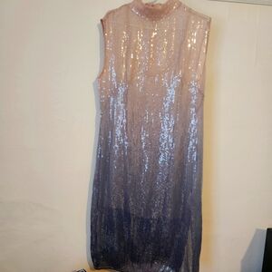 BNWT Anthropolige sequin ombre dress